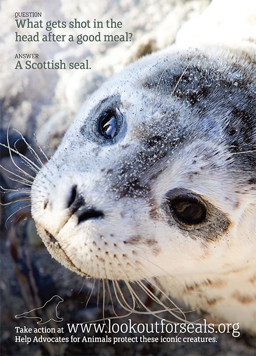 Seal campaign poster from 2009 