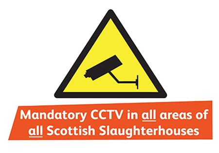 OneKind campaign for CCTV in slaughterhouses graphic