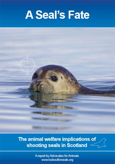 Report by OneKind: A Seal