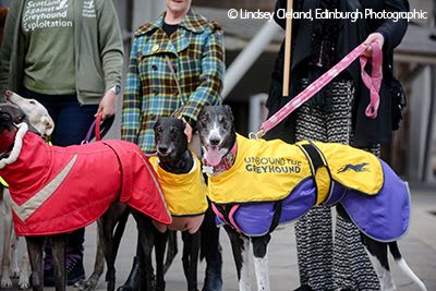 Greyhounds with coalition outside Scottish Parliament.