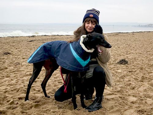 Rescued greyhound