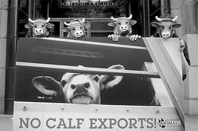 Advocates for Animals demo against live exports