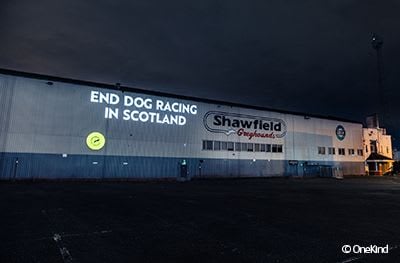 End dog racing in Scotland projected onto Glasgows Shawfield stadium.