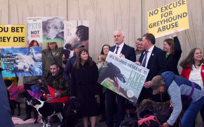 Demo outside Scottish Parliament against greyhound racing