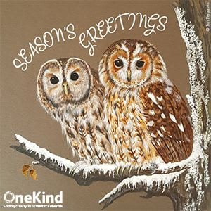 Christmas card with two owls and the words Seasons Greetings.