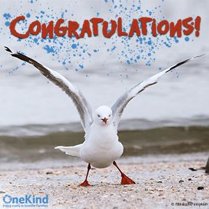 Card with a gull and the word Congratulations.