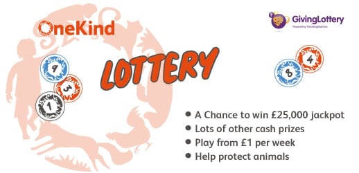 OneKind logo and lottery imagery