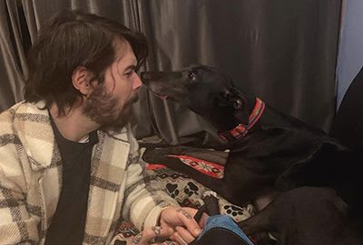 Rescued greyhound 