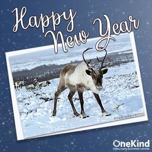 Happy New Year card with a reindeer in the snow.