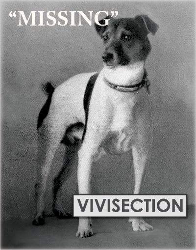 Old poster warning people of dogs going missing and being used for vivisection