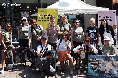 OneKind team and volunteers at stall for greyhounds