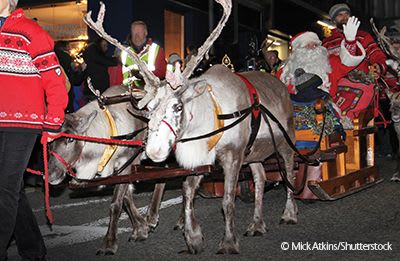 Reindeer pulling Santas sleigh on Christmas parade.