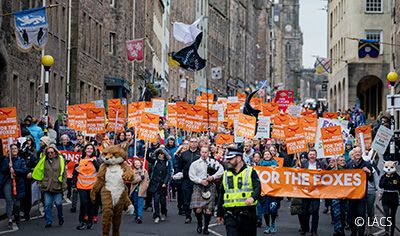 For the Foxes march down Edinburghs Royal Mile.
