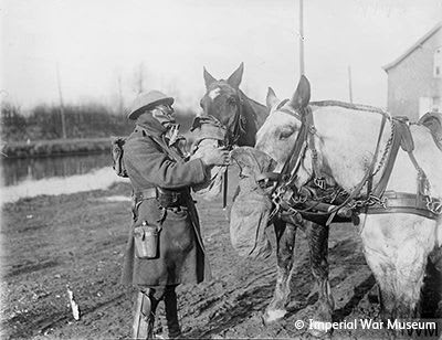 1914 horses used in war