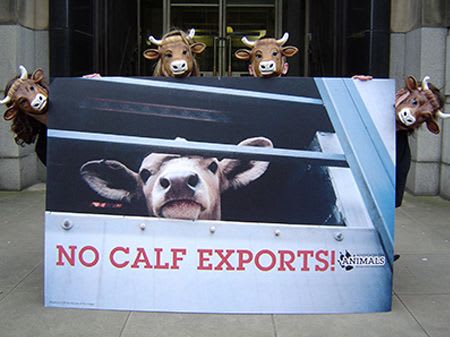 OneKind demo against calf exports