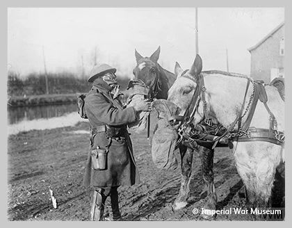 WW1, 1914, soldier with war horses. © Imperial War Museum