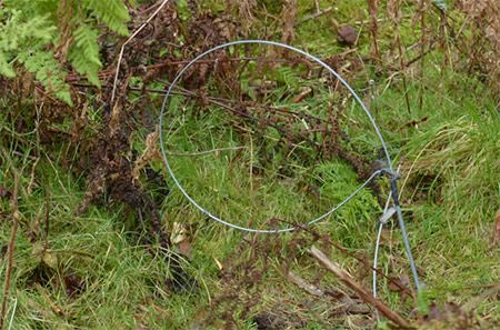 Wire snare in countryside