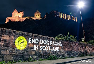 End dog racing in Scotland projected below Edinburgh castle.