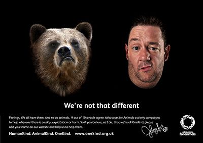 Johnny Vegas and image of bear