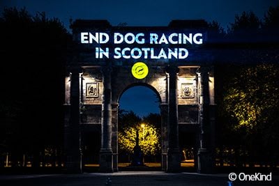 End dog racing in Scotland projection on McLennan arch in Glasgow.