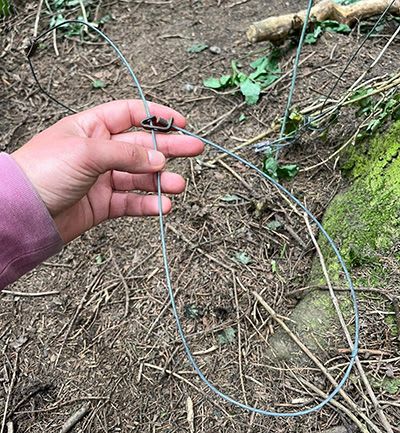 Wire snare found on Roxburghe Estate