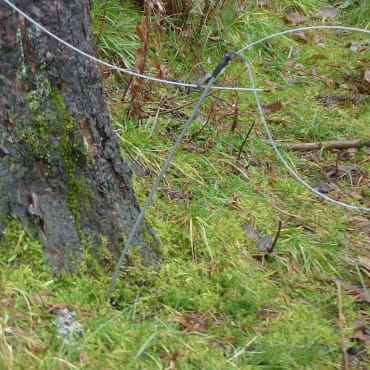 2011 – Regulations governing the setting of snares in Scotland introduced