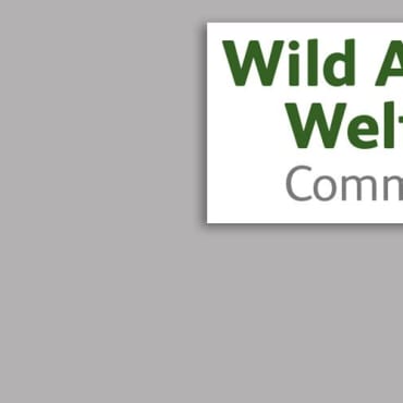 2014 – OneKind joins Wild Animal Welfare Committee