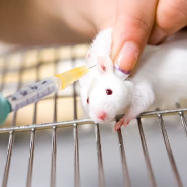 Target Zero for animal experiments in the UK